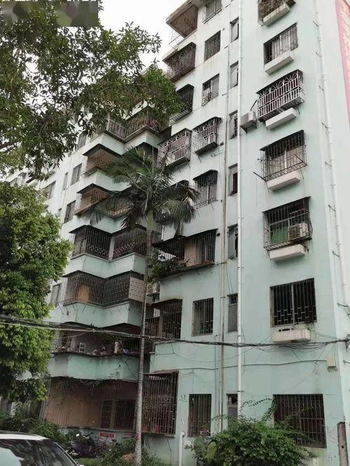 石家庄花园爆料案件最新,揭秘背后惊人真相