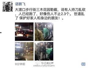 大渡口最新爆料信息网,揭秘城市热点事件背后的真相